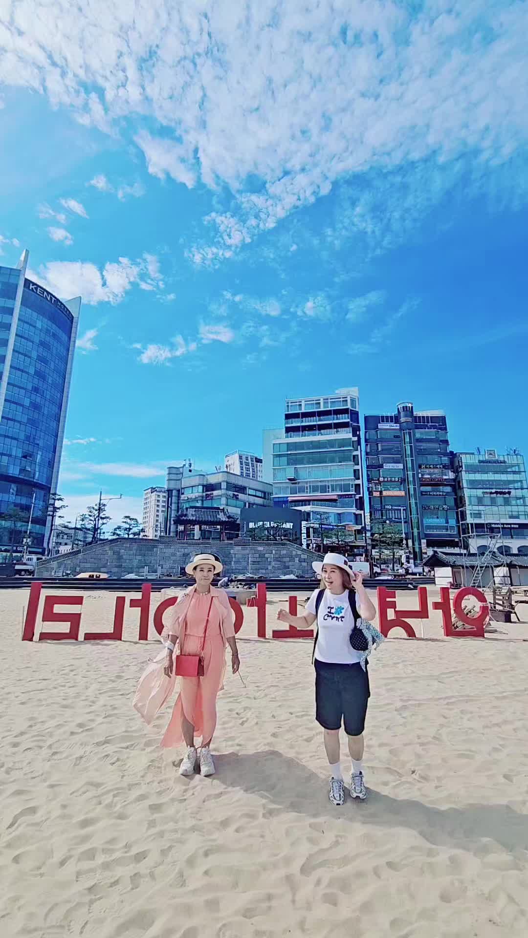 @틱톡왕비
