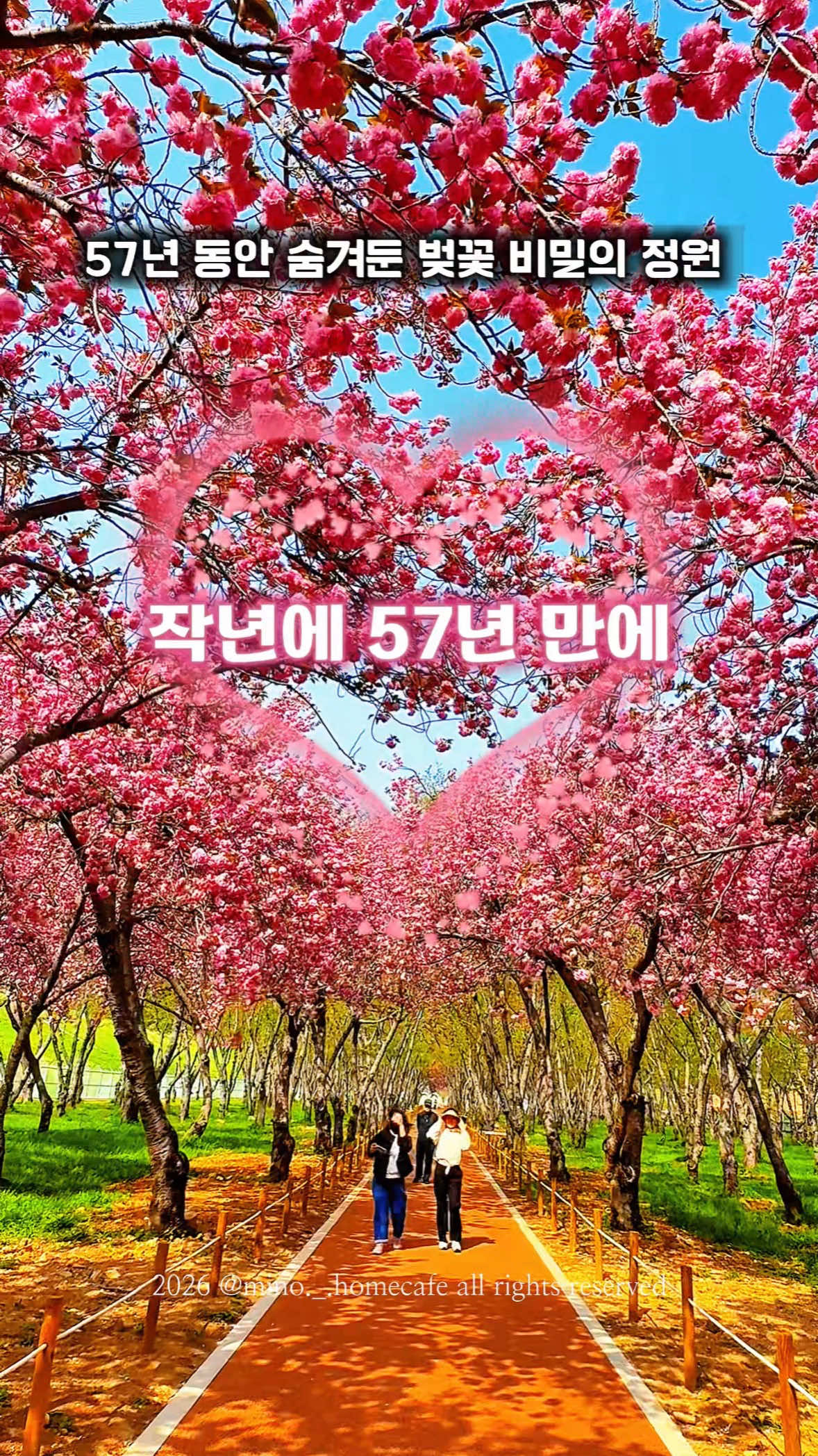 @mino36 미노36