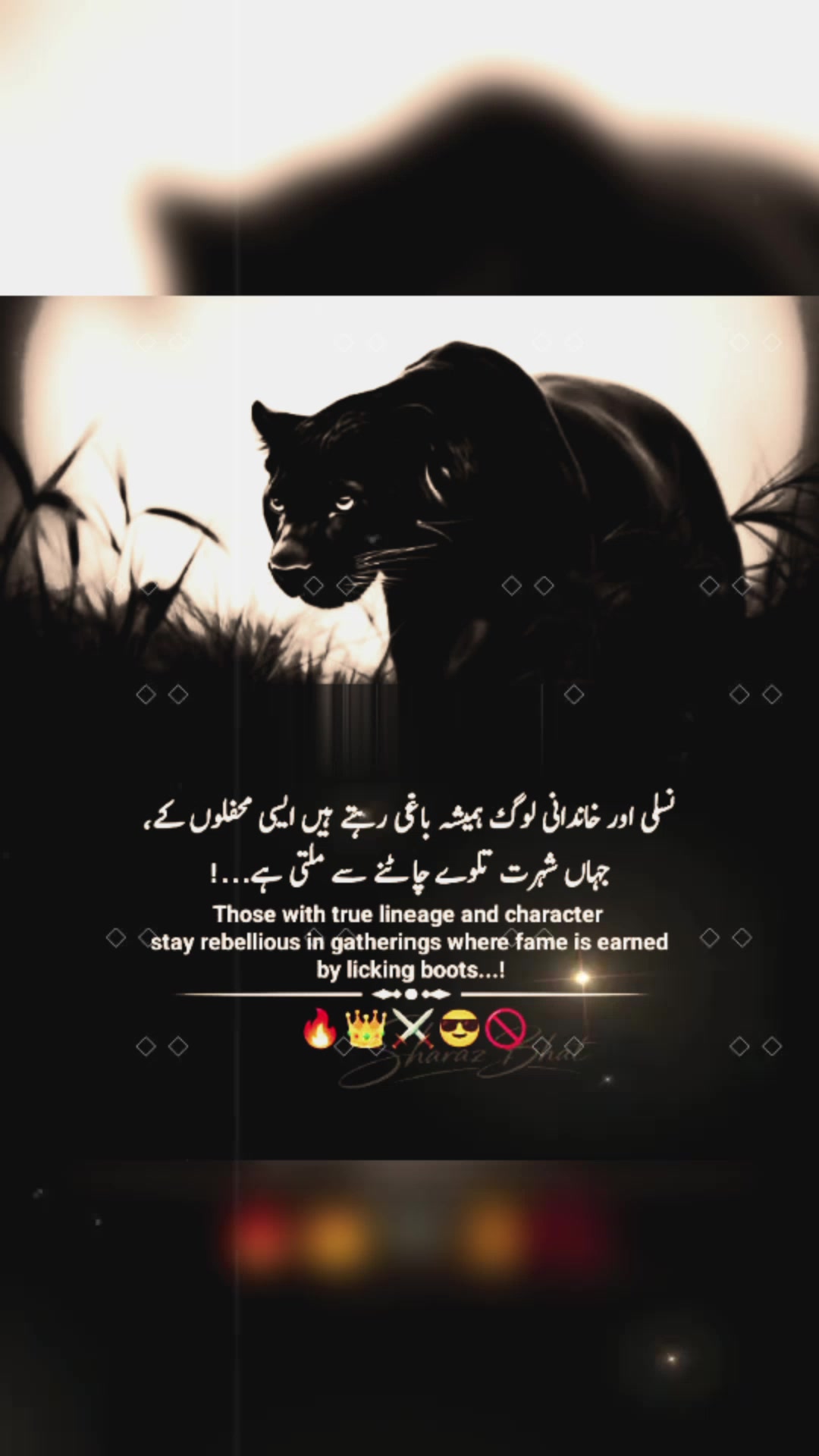@❦︎❥︎mehar✰༆ ᶻᵘᵇᵃⁱʳ ༎ຶ✰