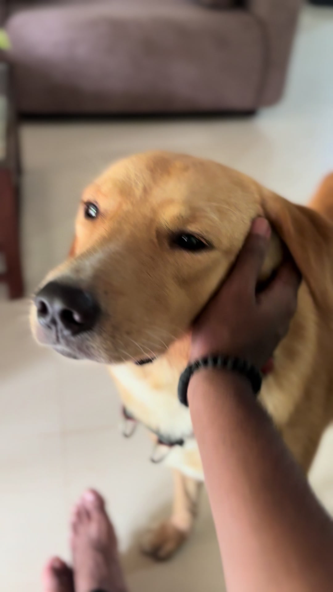@Jayaruwan_Prabodya