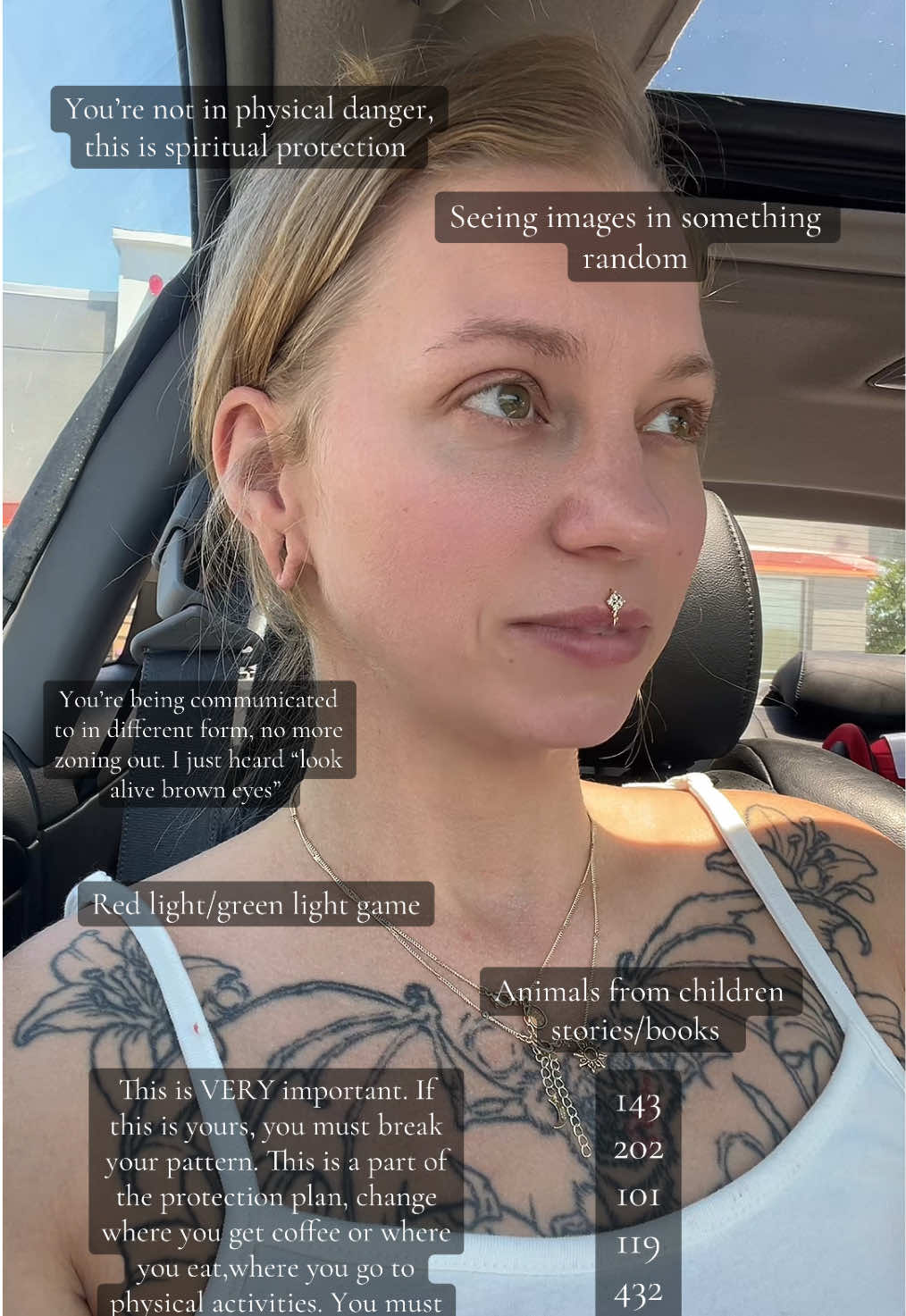 @ceilestewart