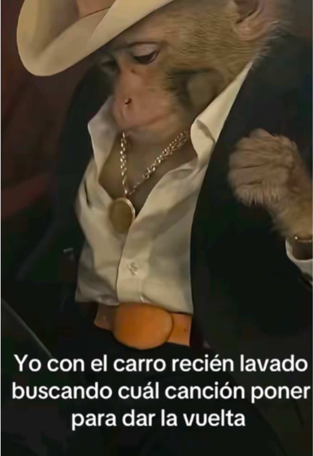 @franzscano