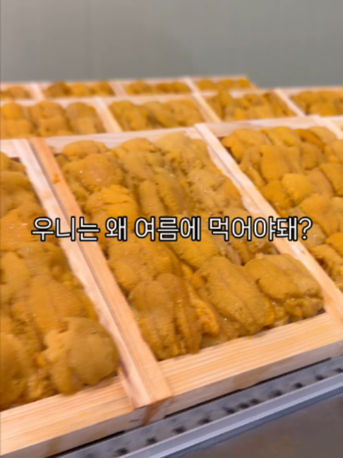 @명구푸드