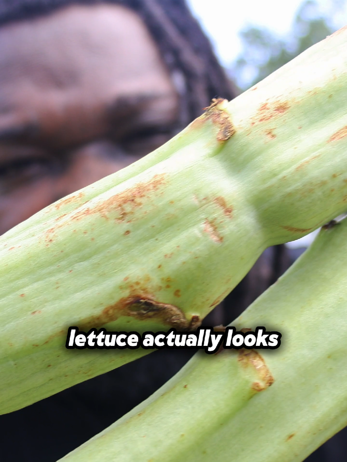@Shawn Grows