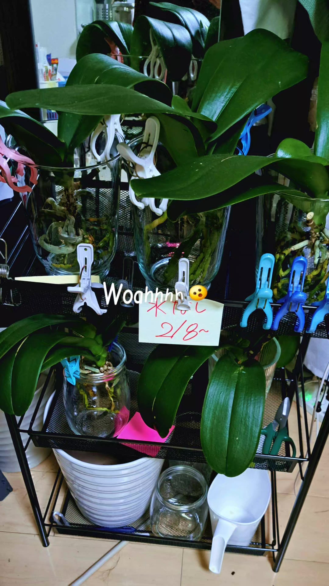@🌊🌊波🌊🌊
