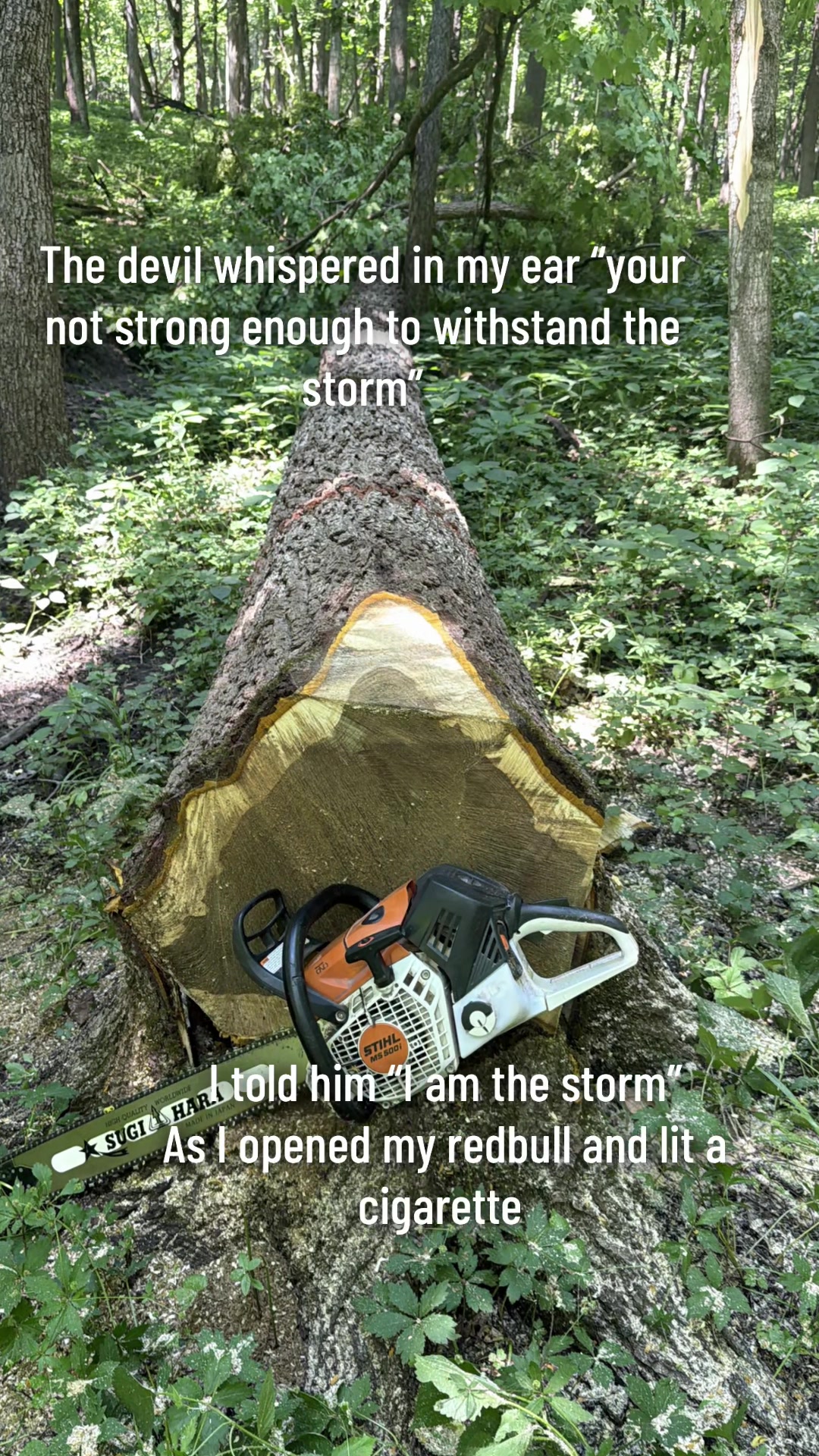 @treecutterjake