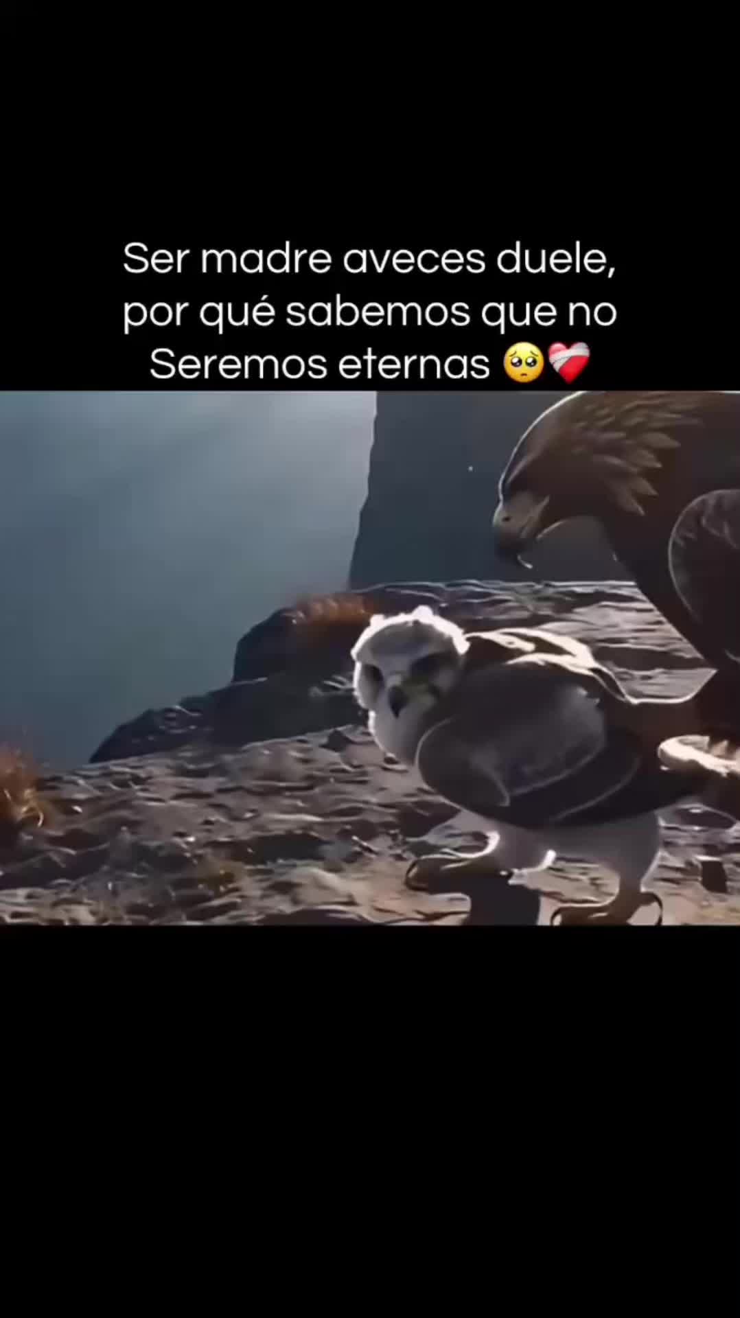 @Clara Hern&aacute;ndez 🚶🏻&zwj;♀️&zwj;➡️🥀
