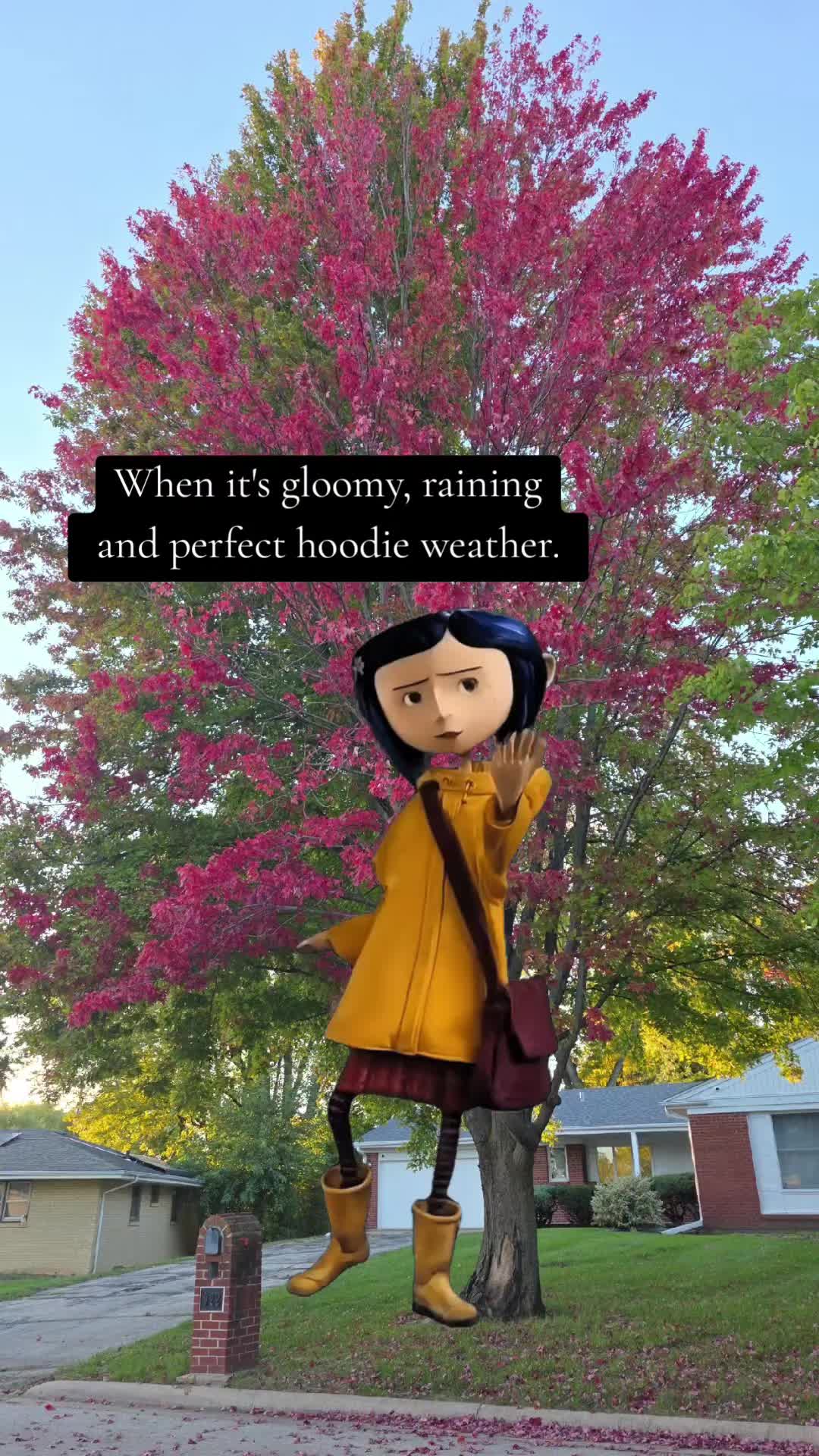 @Noelle
