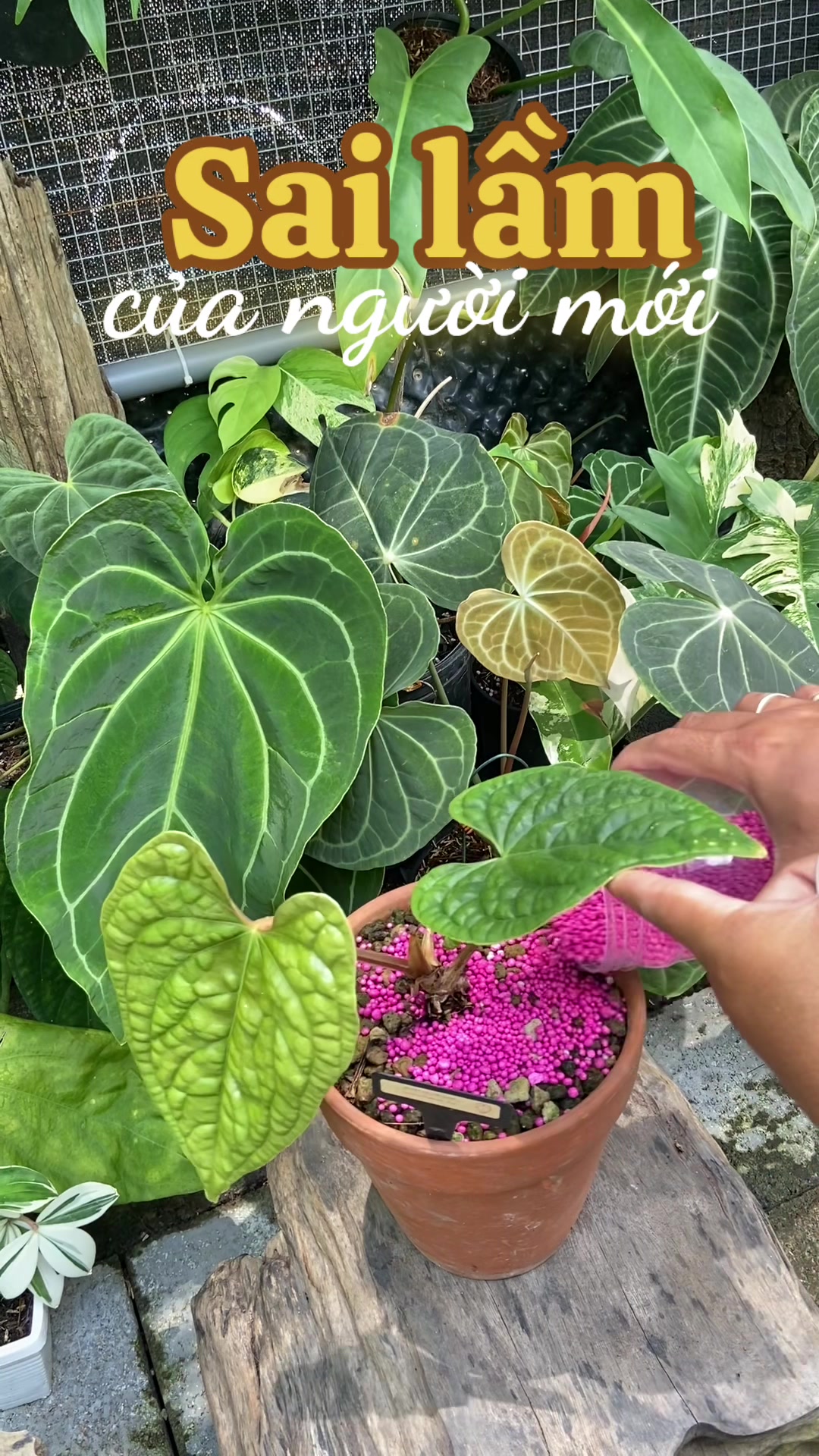 @Kid Garden Decor