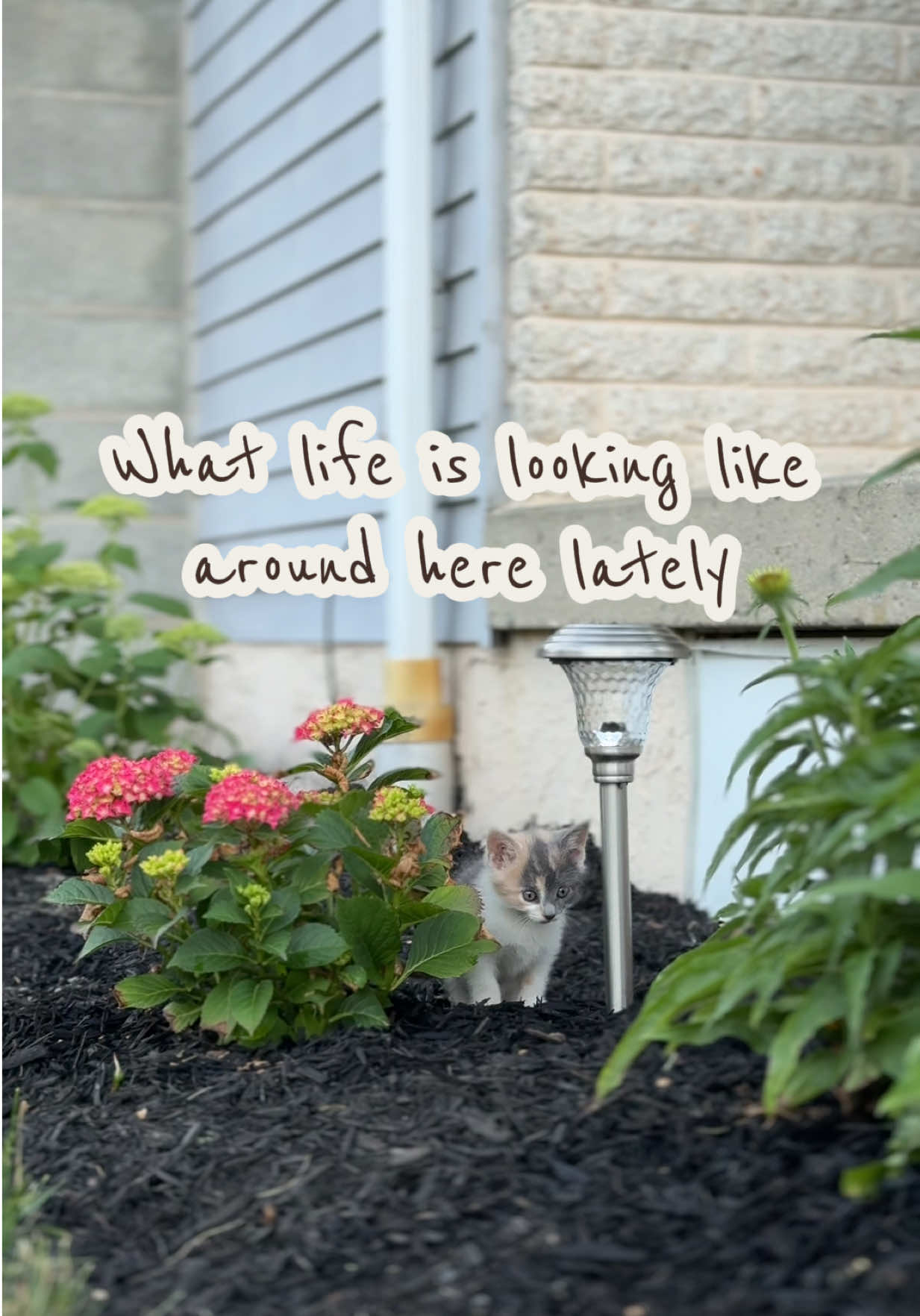 @Emily 🌷🧺🪿