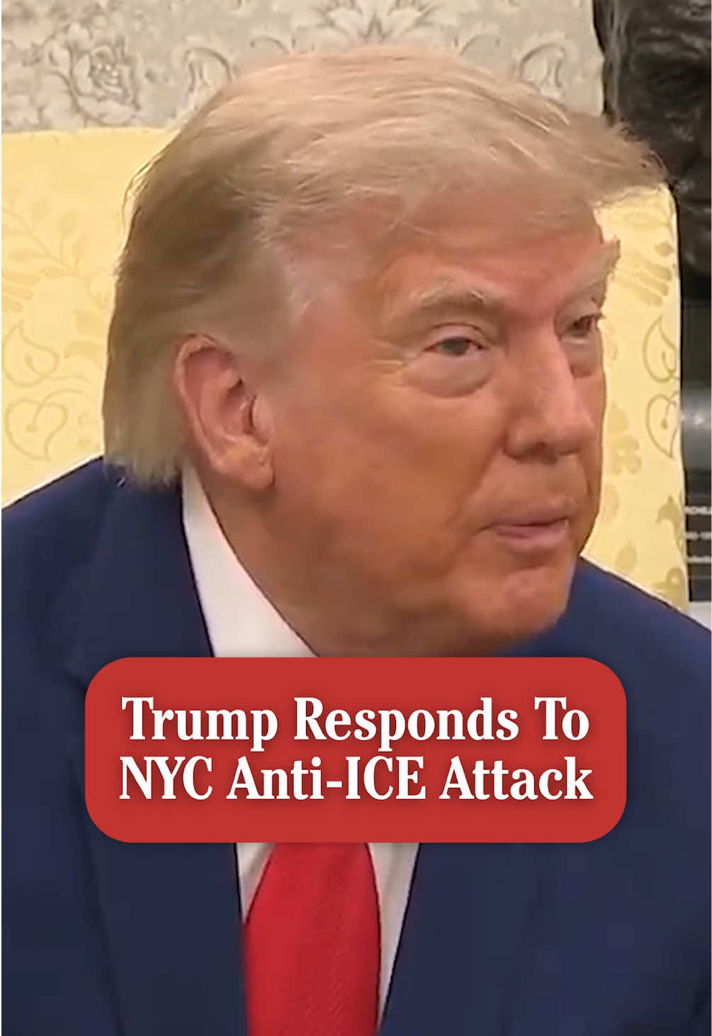 @Daily Wire