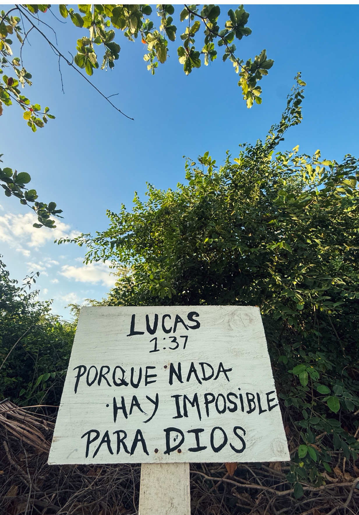 @Belton Tyrone 🇵🇷