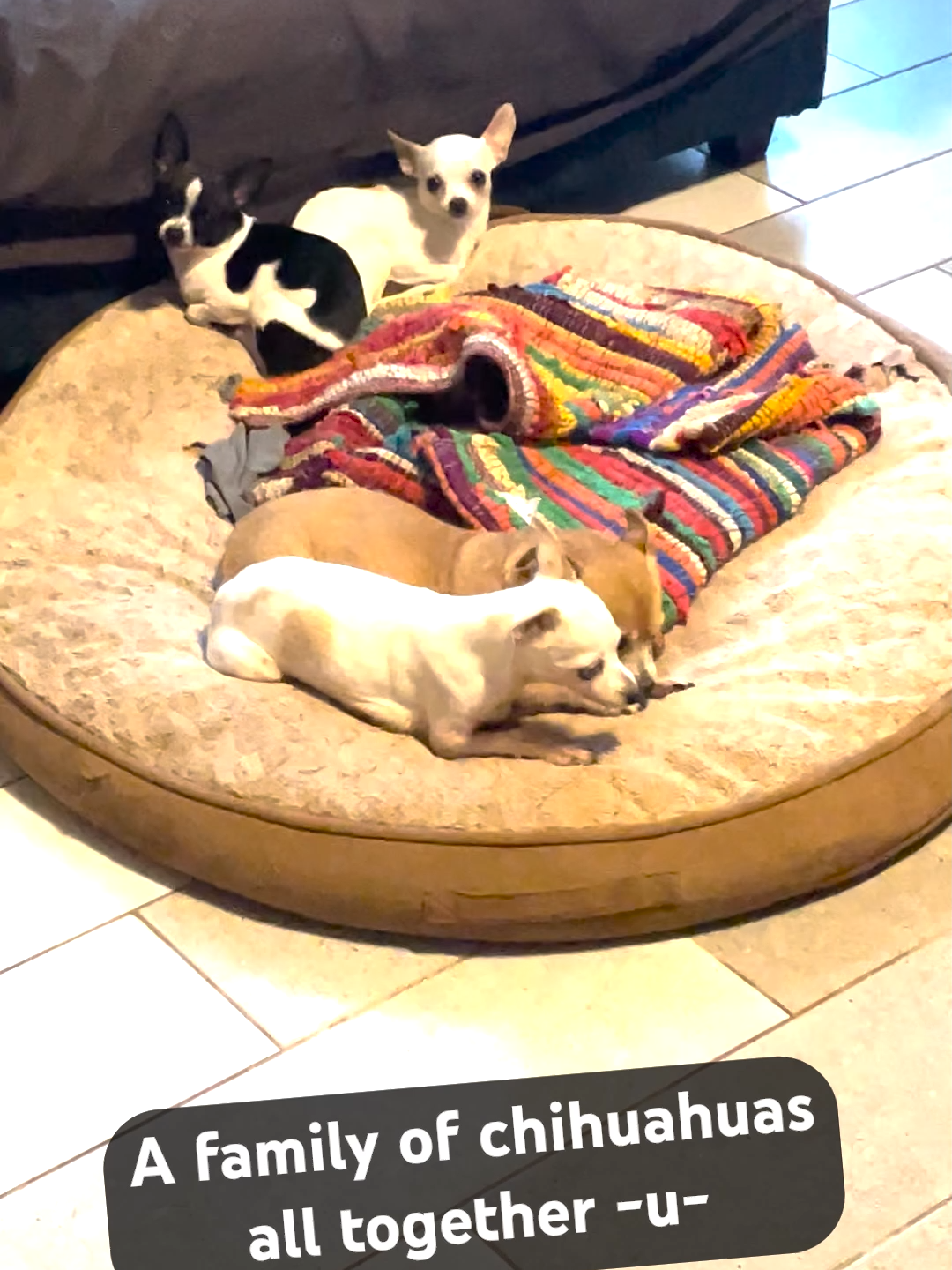 @Junntendo