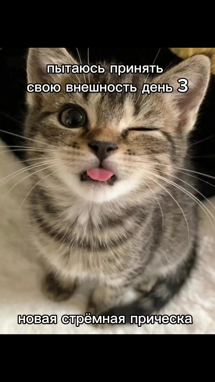 @PRANKEr