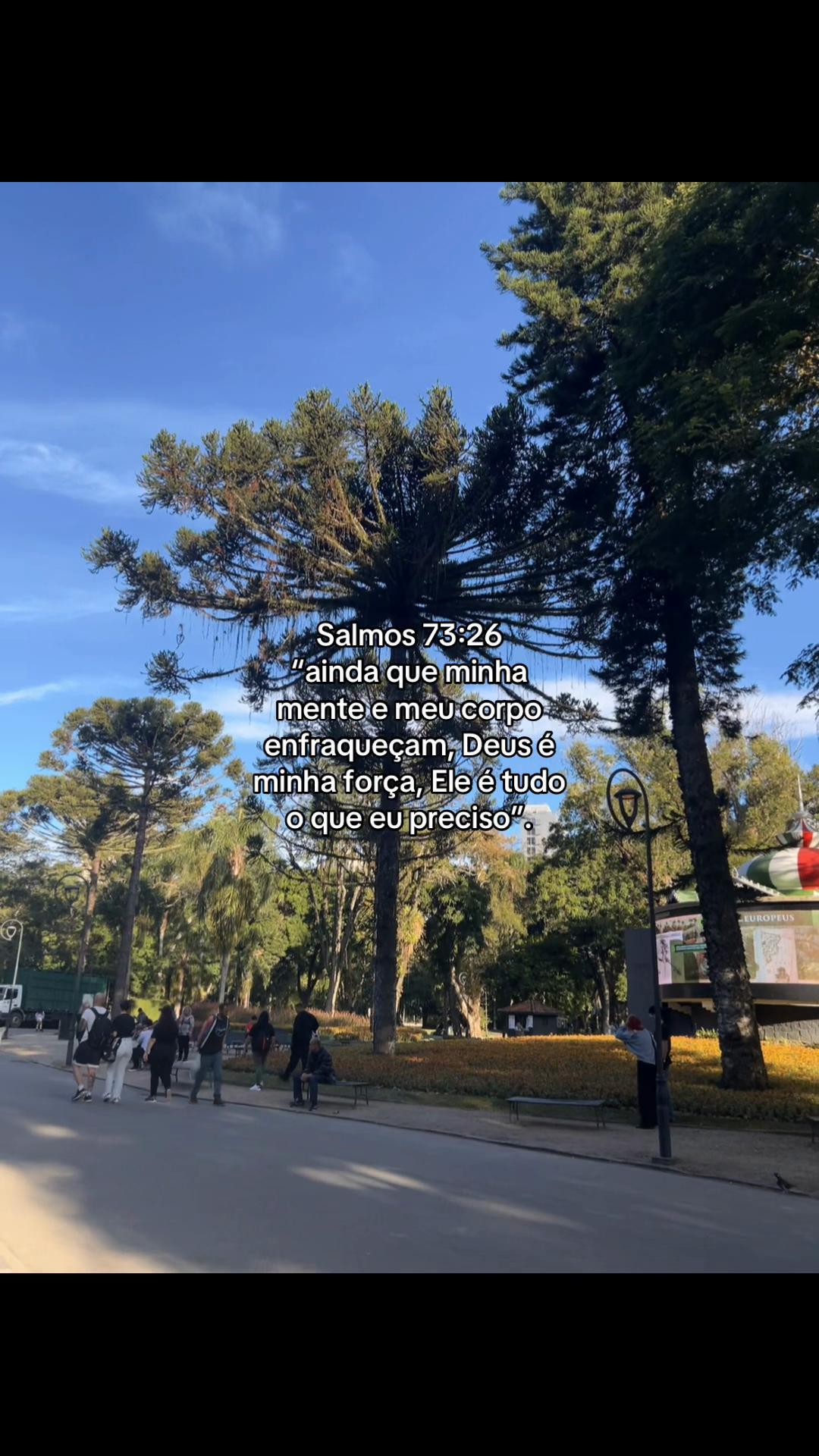 @_corte_frases