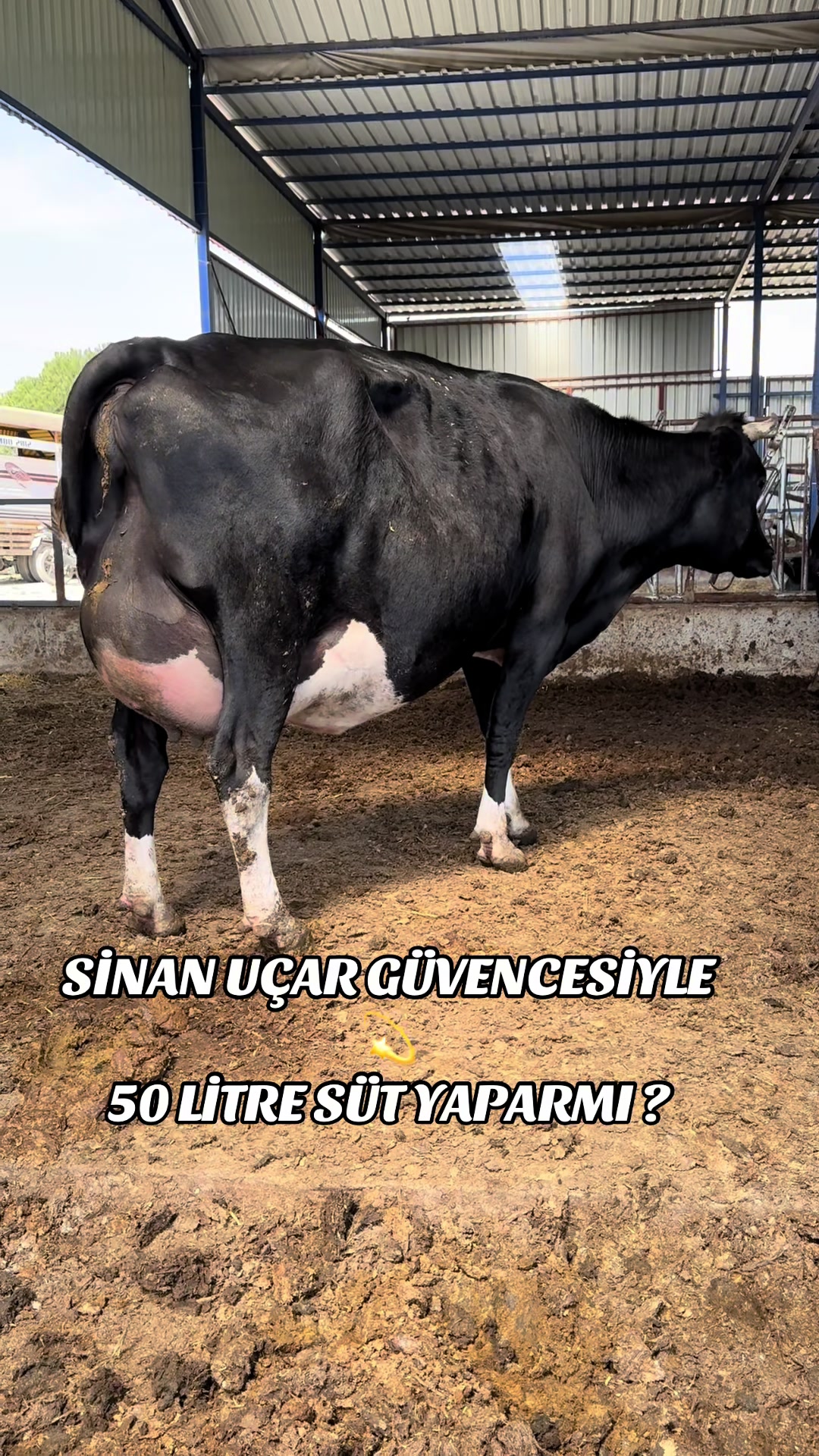 @CELEP SİNAN UÇAR