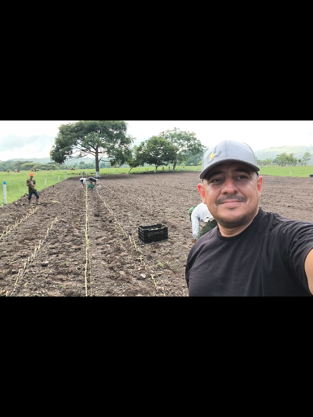 @Jesús Argenis Bautista