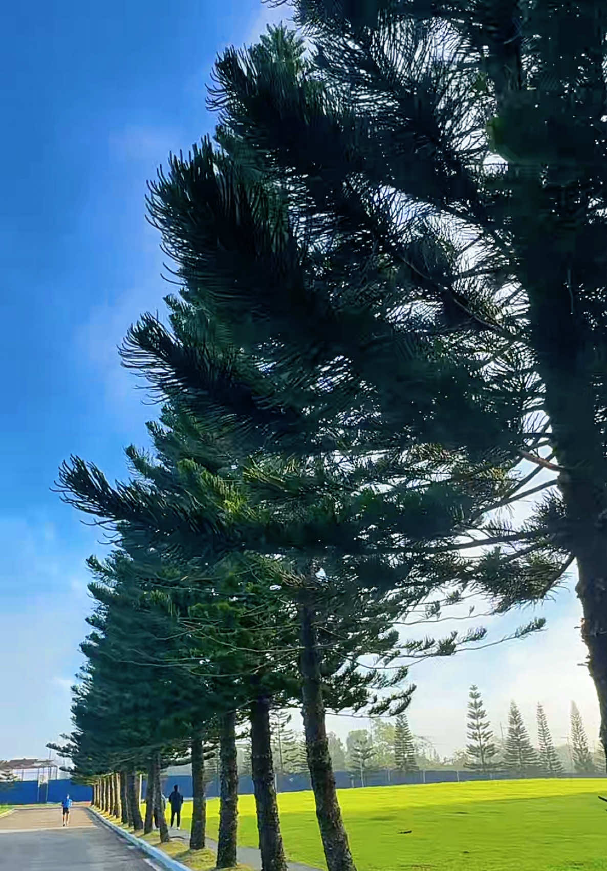 @Tagaytay Daily | Living Alone