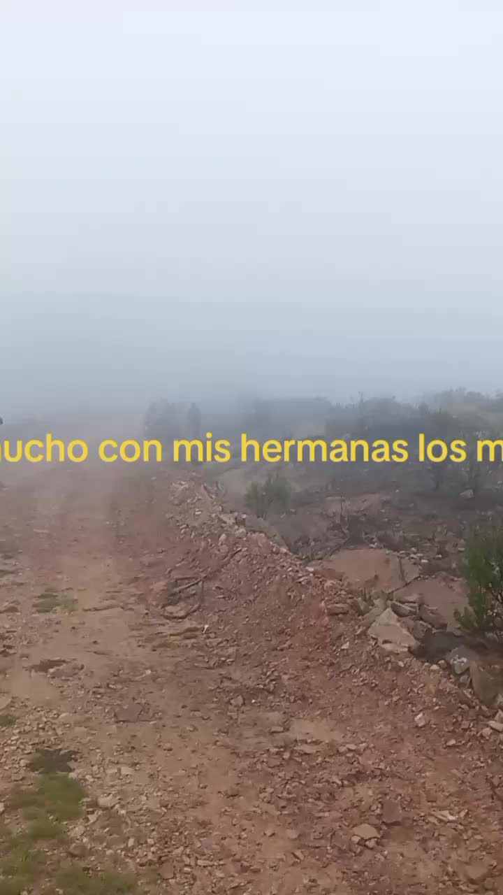 @Fely@