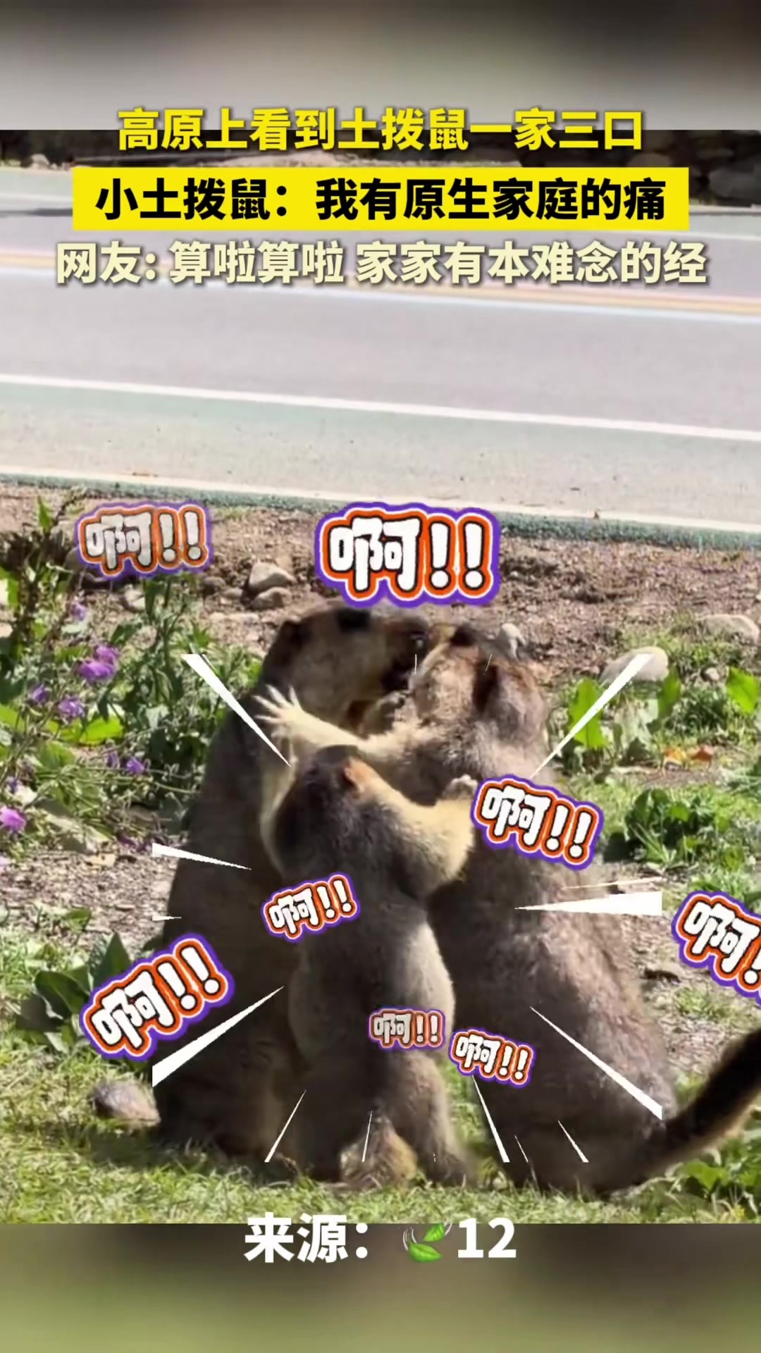 @中国蓝国际