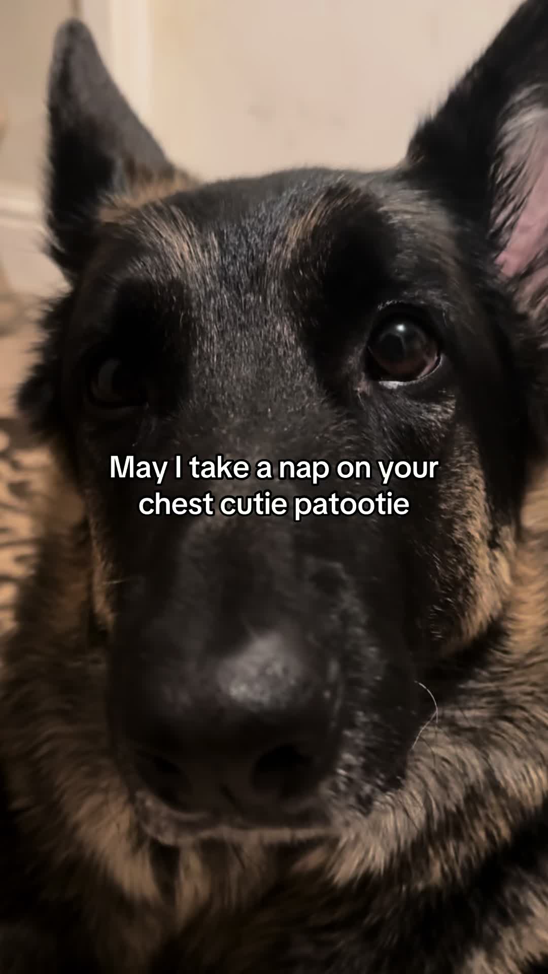 @Bhris