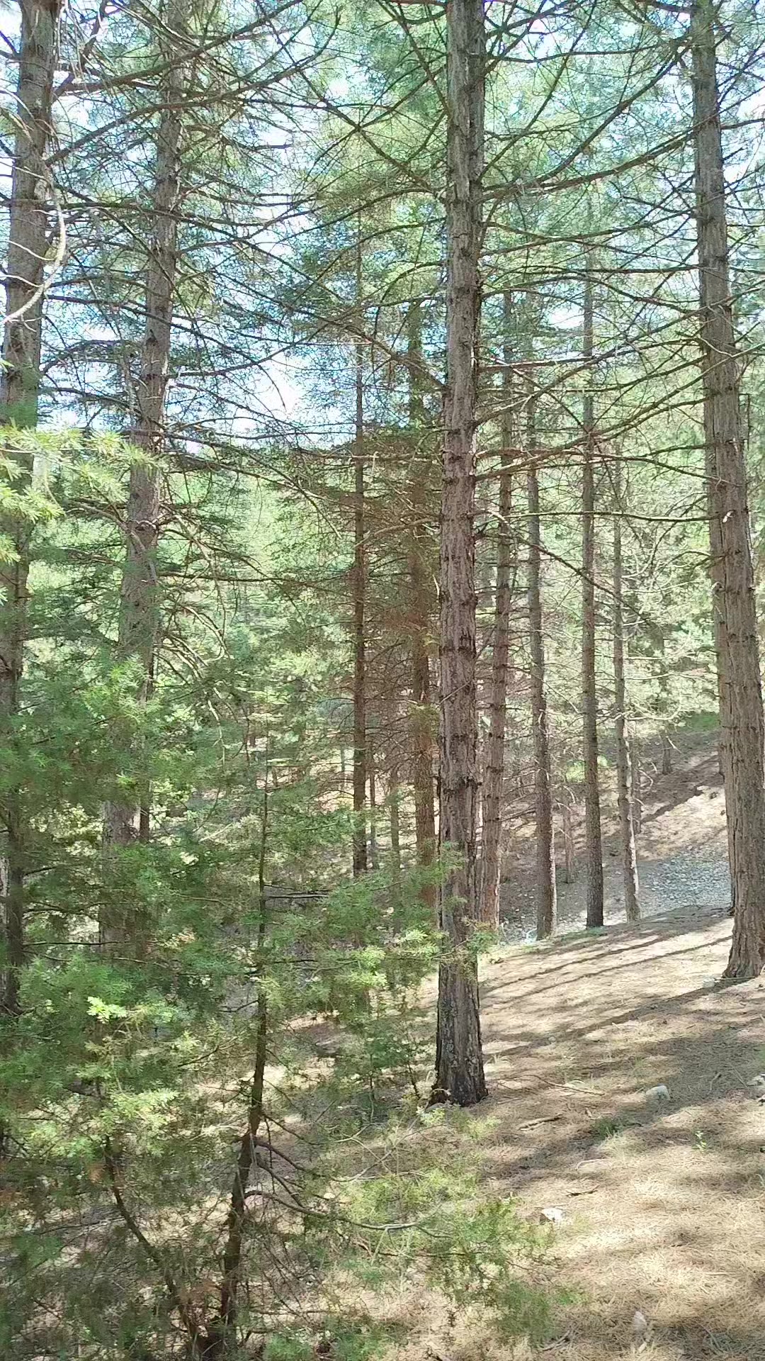 @Ebru Göçmen