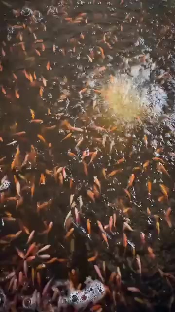 @La Leonera
