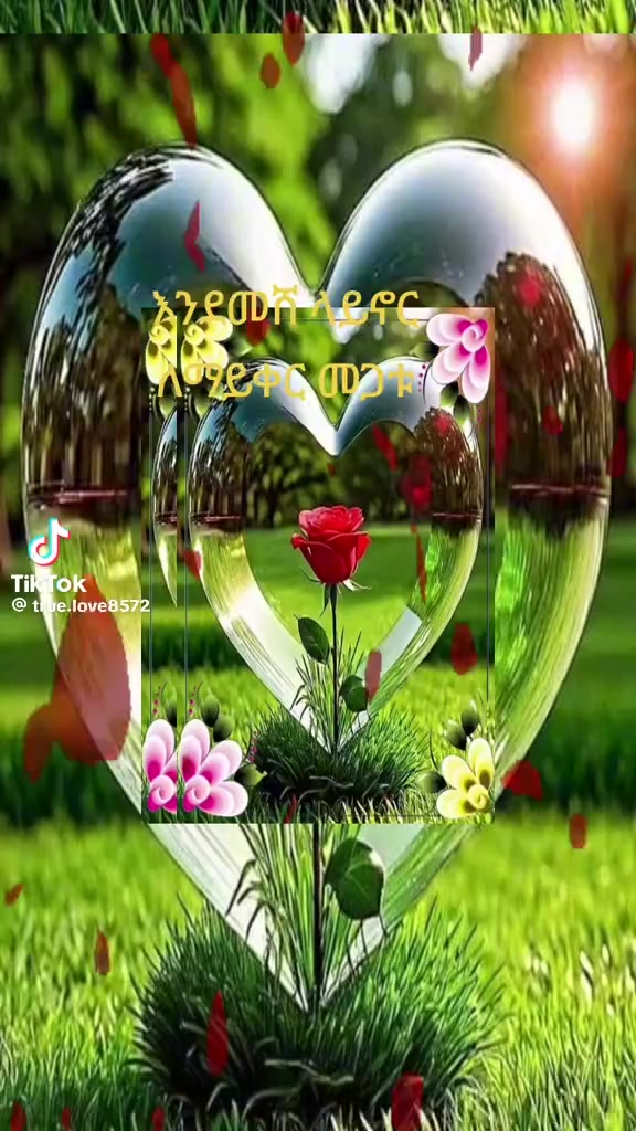 @yayat