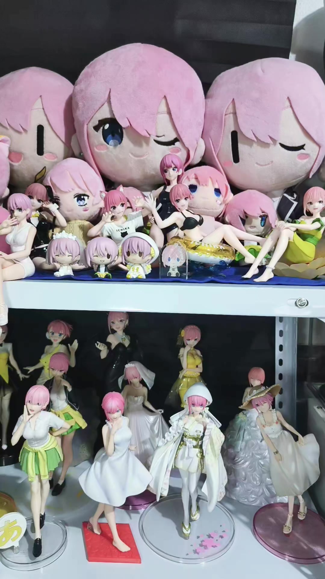 @Kazumi