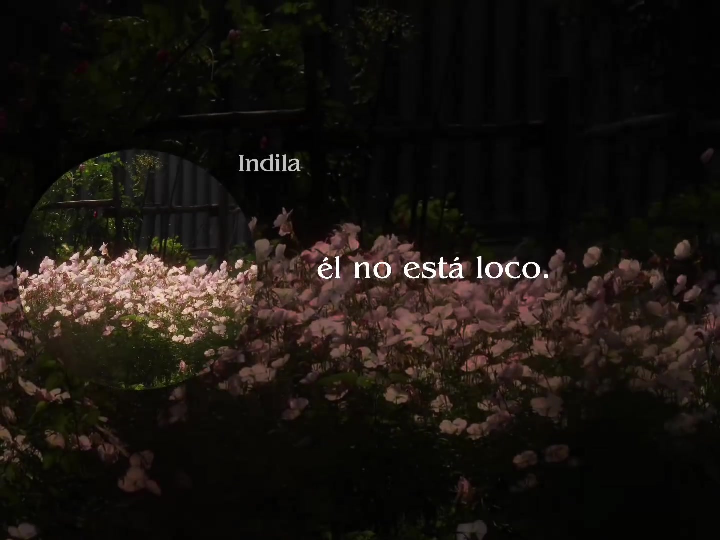 @Letras de canciones