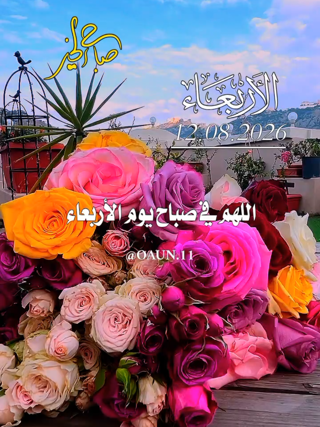 @ألا بذكر الله تطمئن القلوب 🤍