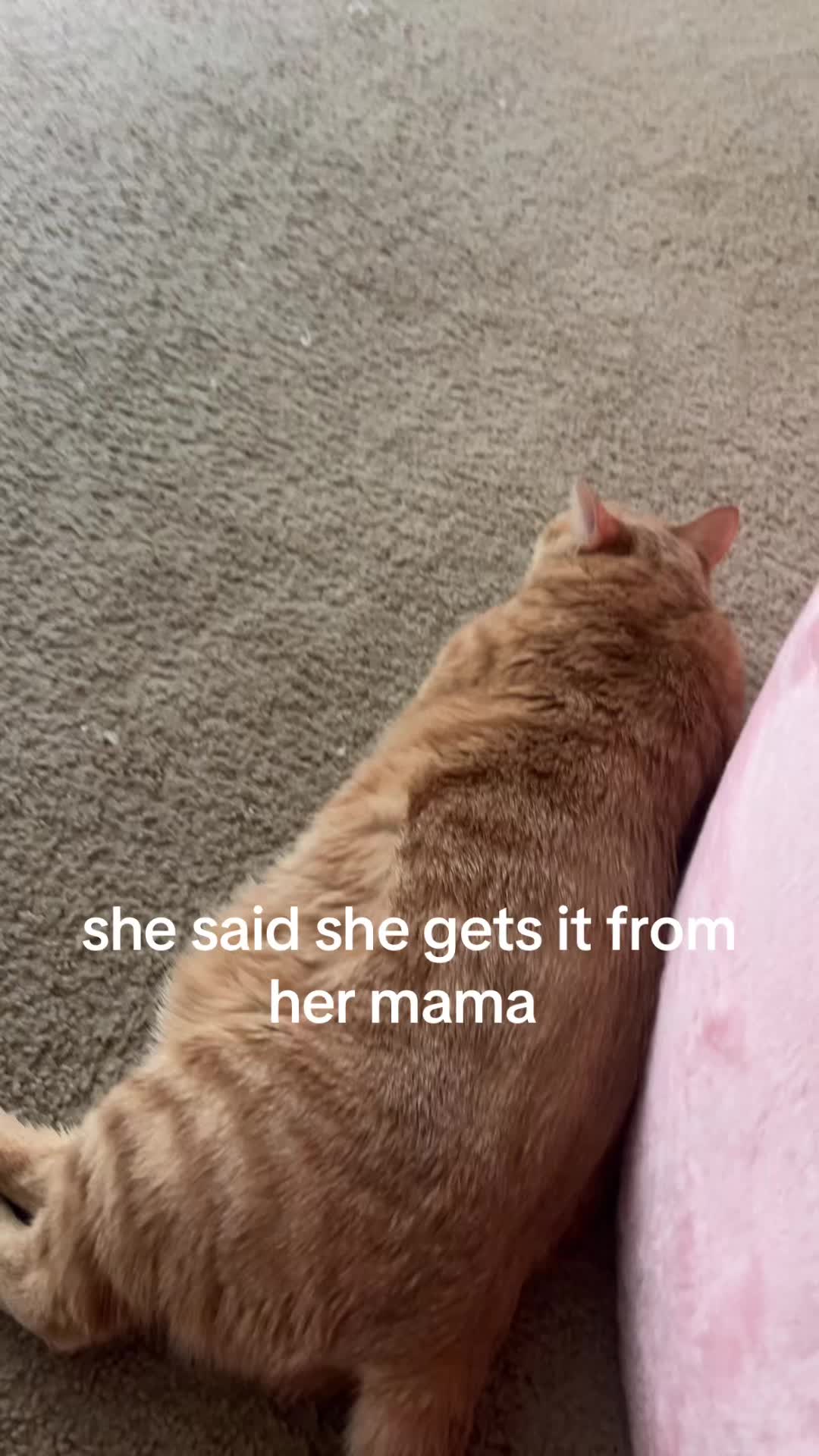 @therealprincesspo