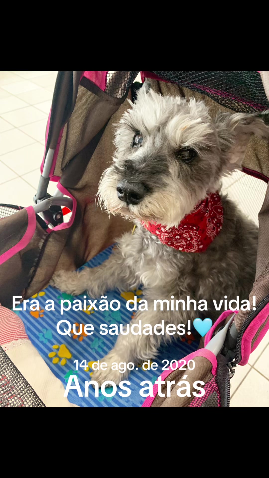 @Carol Blue🩵