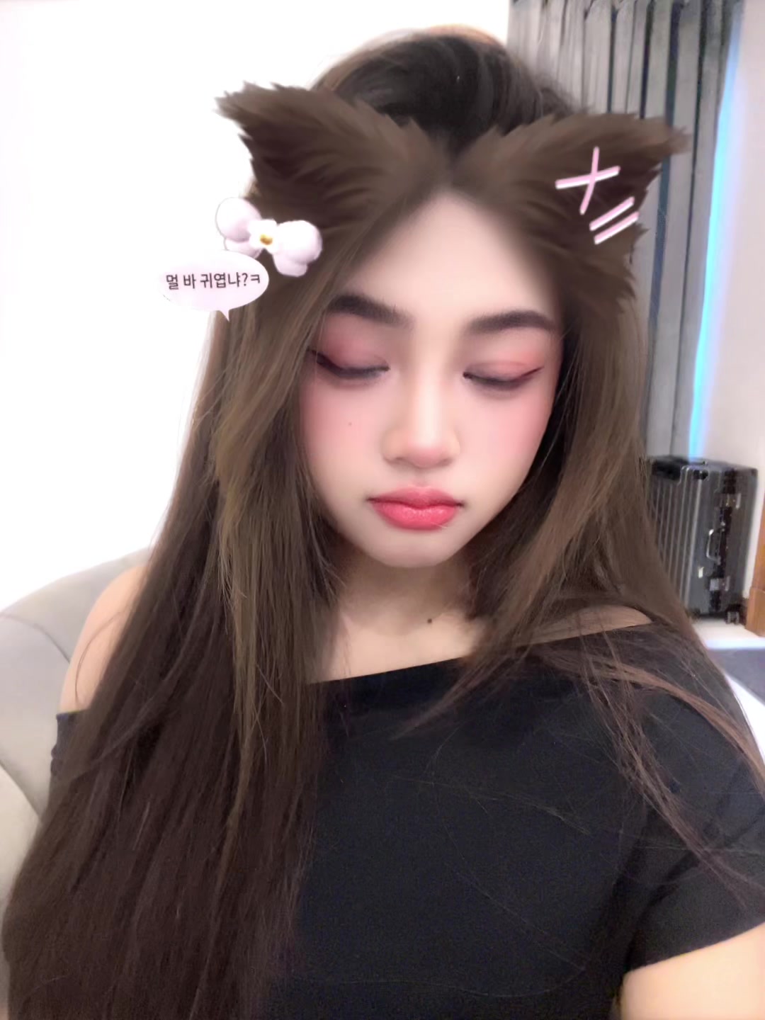@茉莉✨🪷