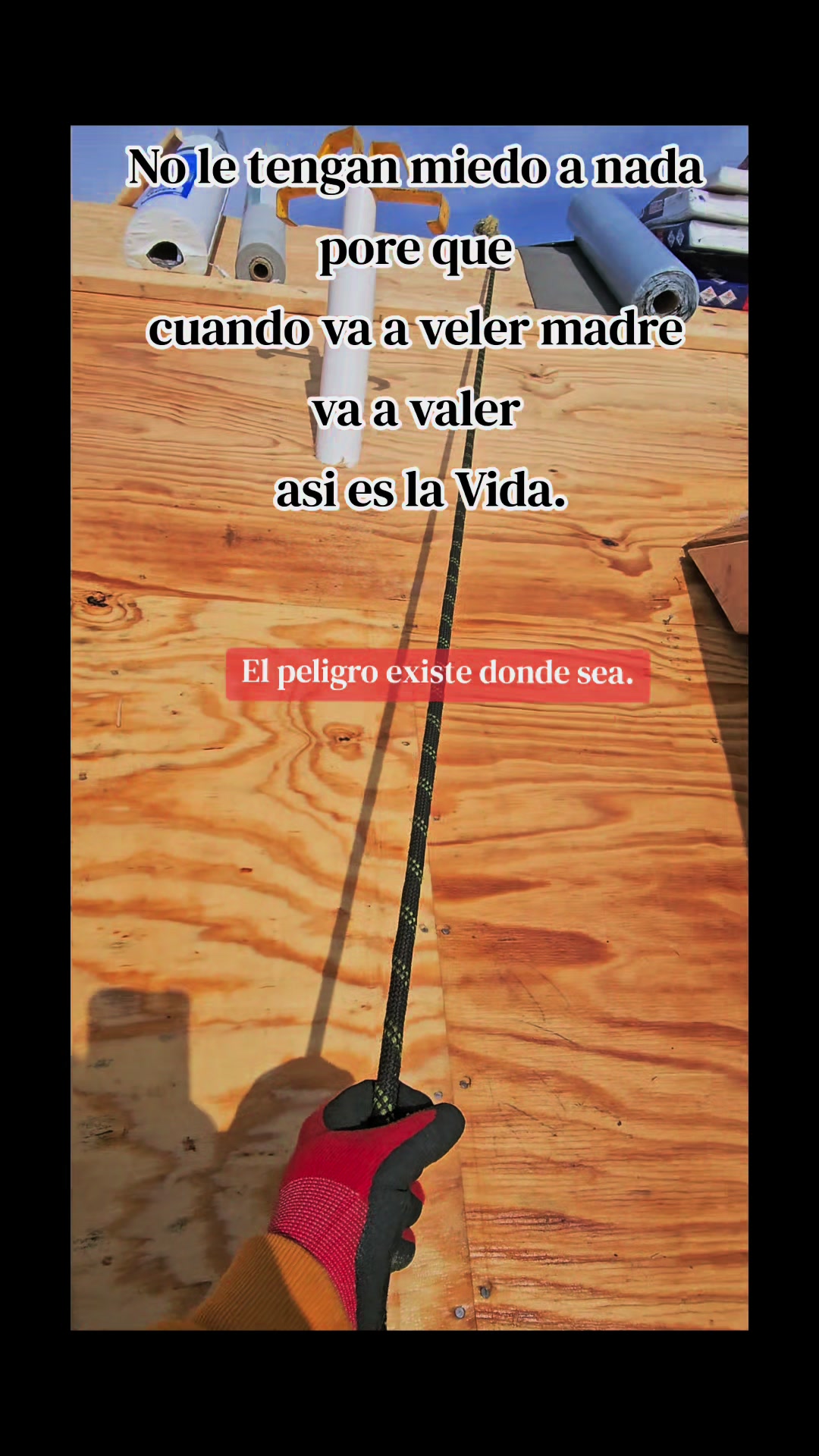 @🇲🇽Guli.Carrada 🐈&zwj;⬛