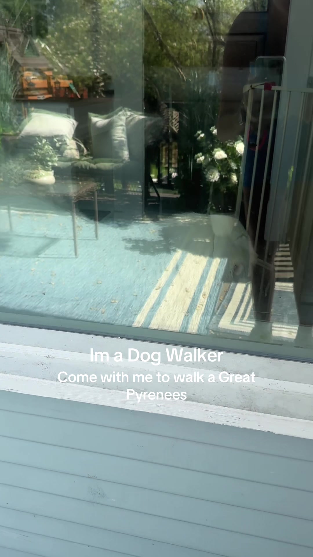 @dallasdogwalker