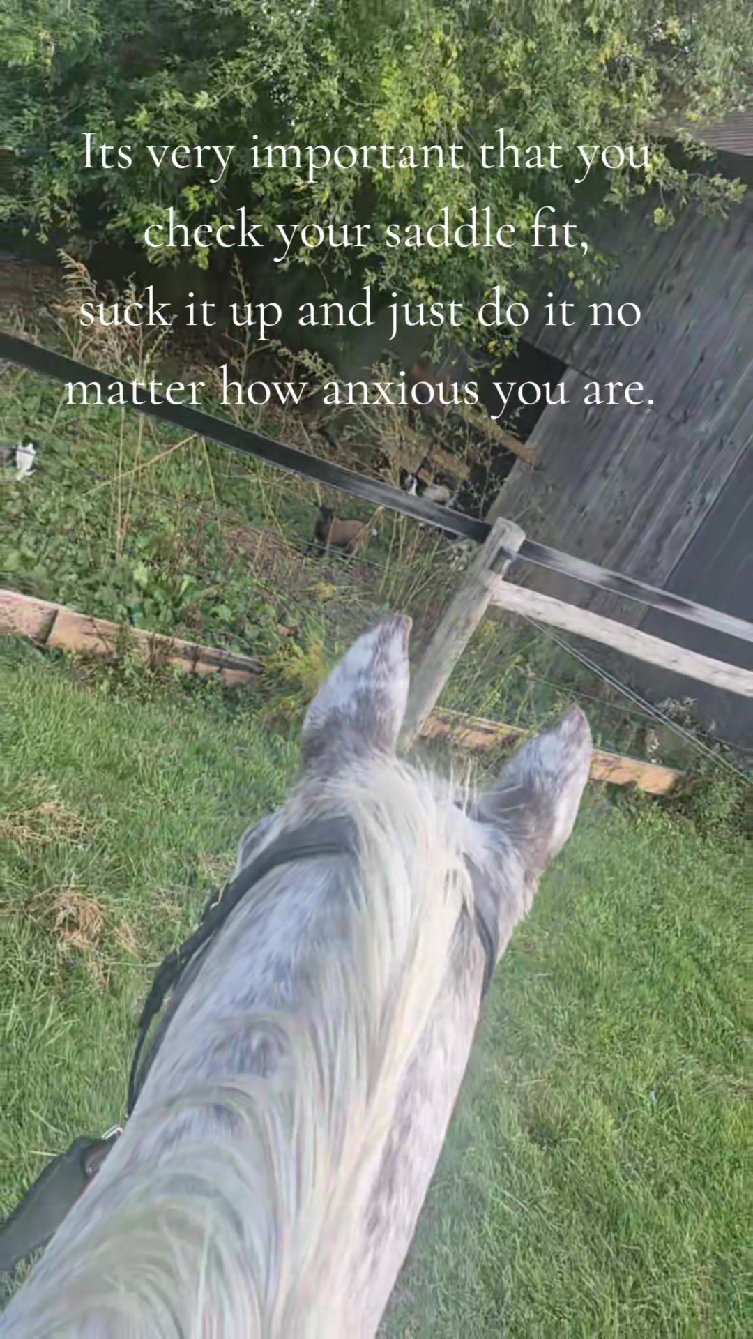 @Tiana 👩🏽&zwj;🌾🐴