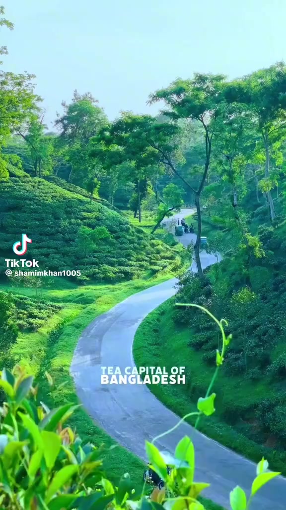 @আজ আমার মন ভালো নেই
