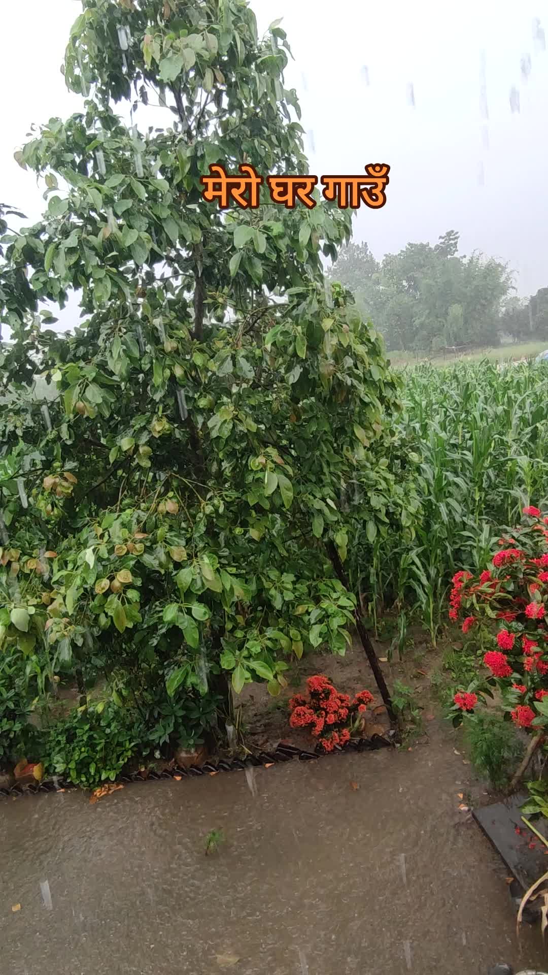 @नामै काफी छ💘Ram_Kumar_Dahal💘