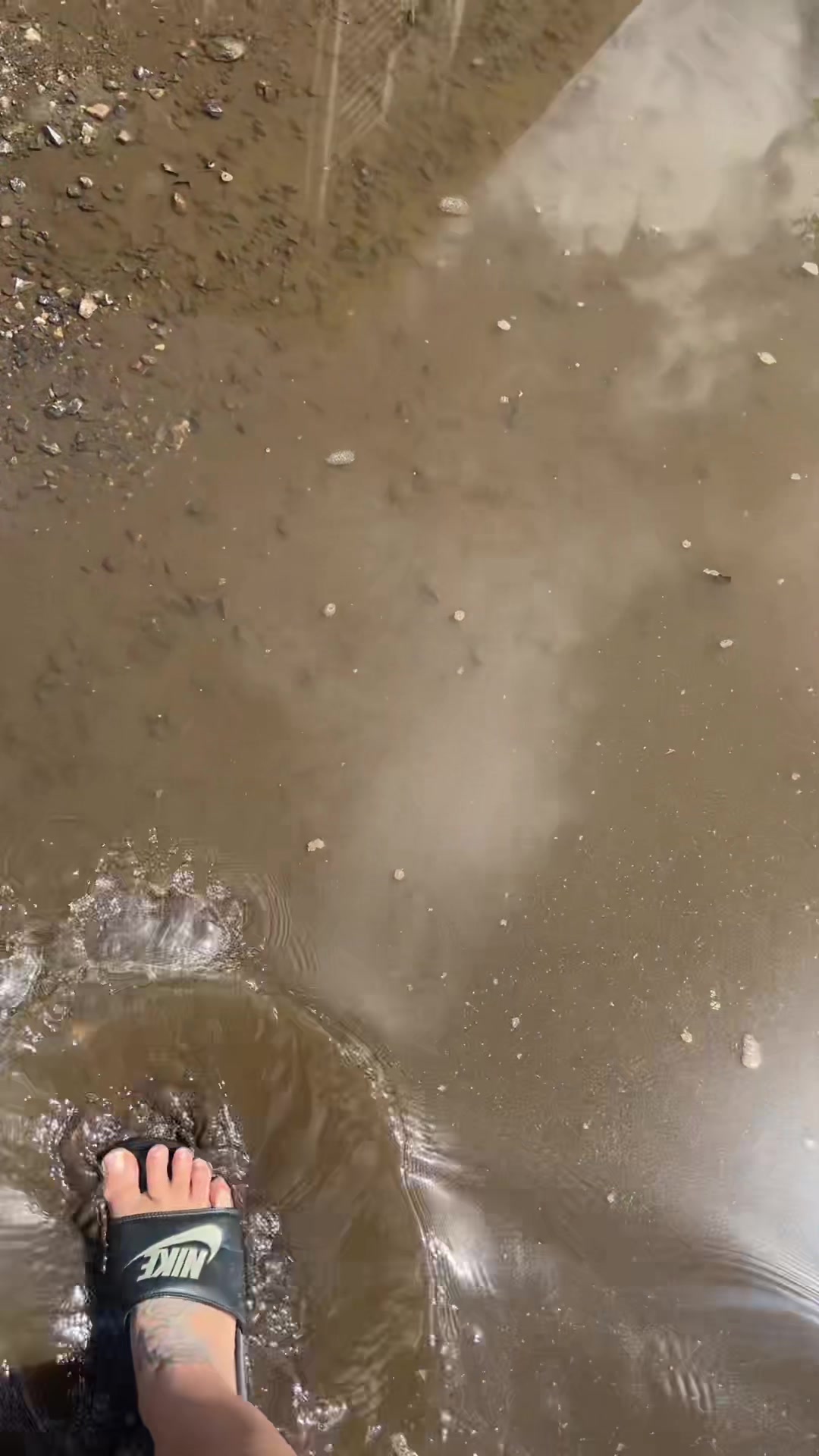 @aliciabickford81