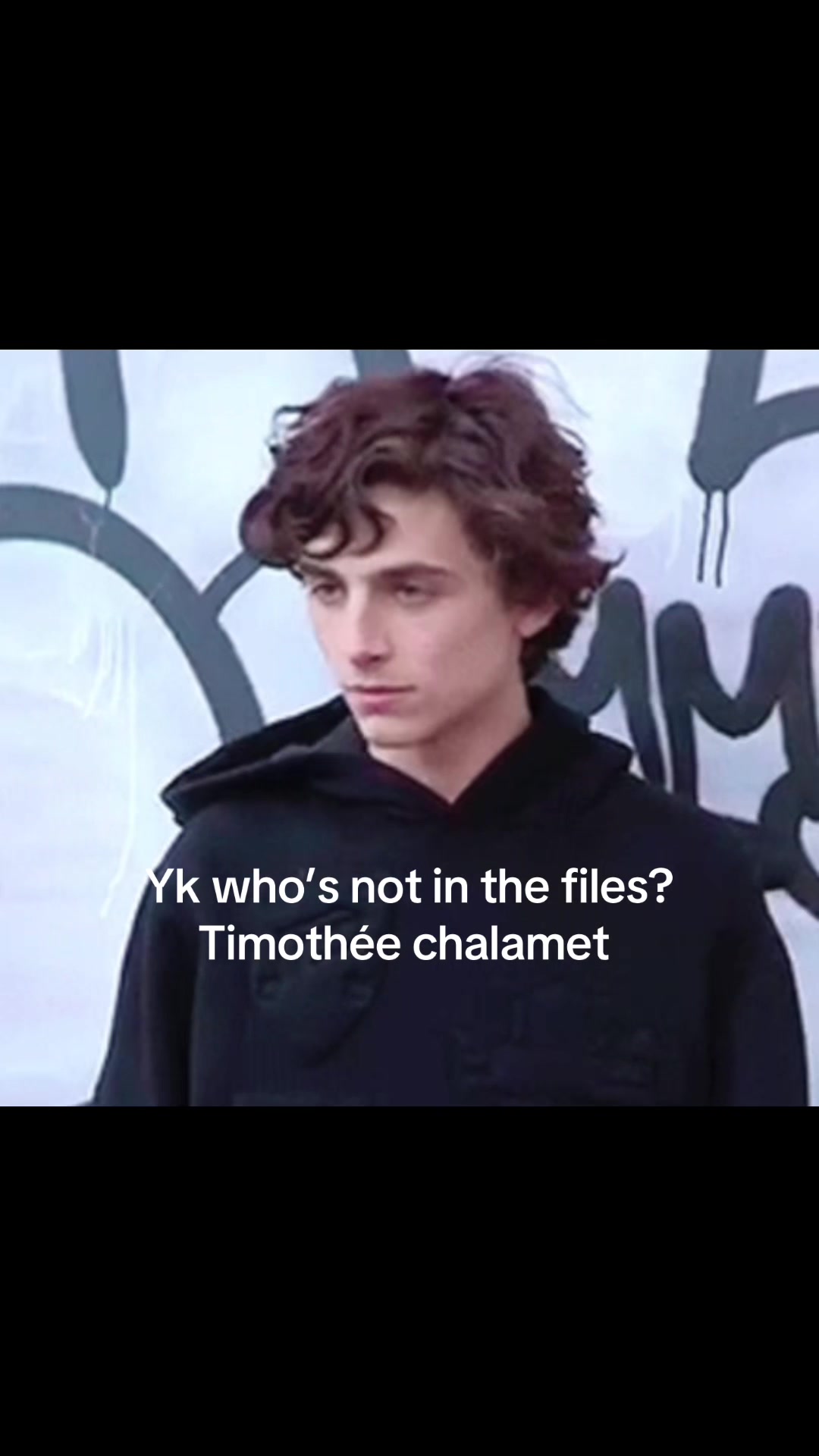 @timotheechalmetismyman
