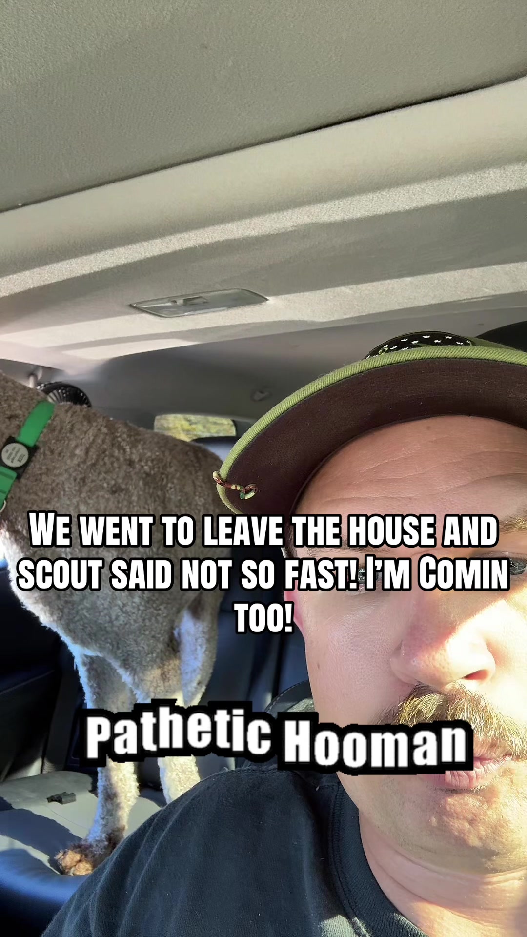 @Bondo and Scout