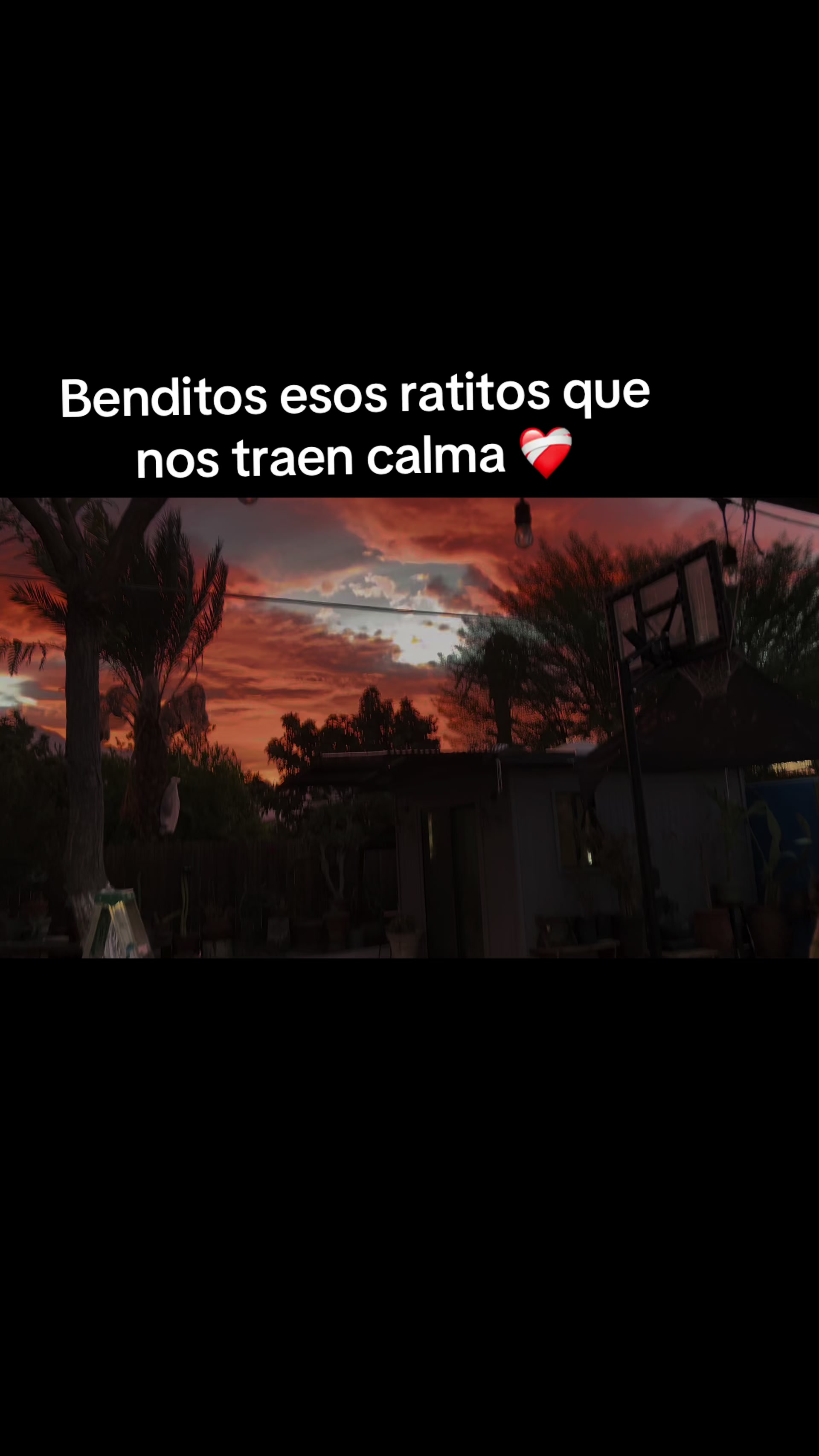 @LetiC,Gaona M