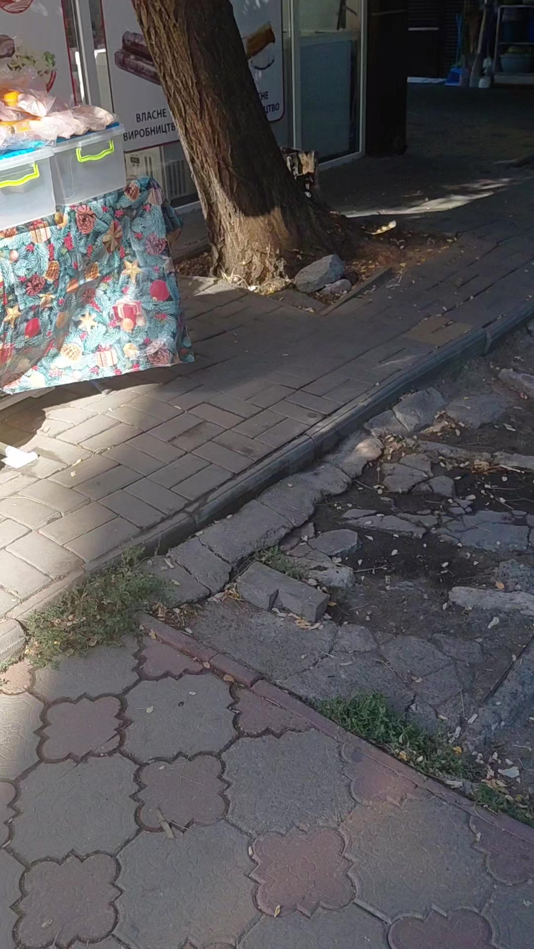 @ЗОЛОТА&ensp;РИБКА