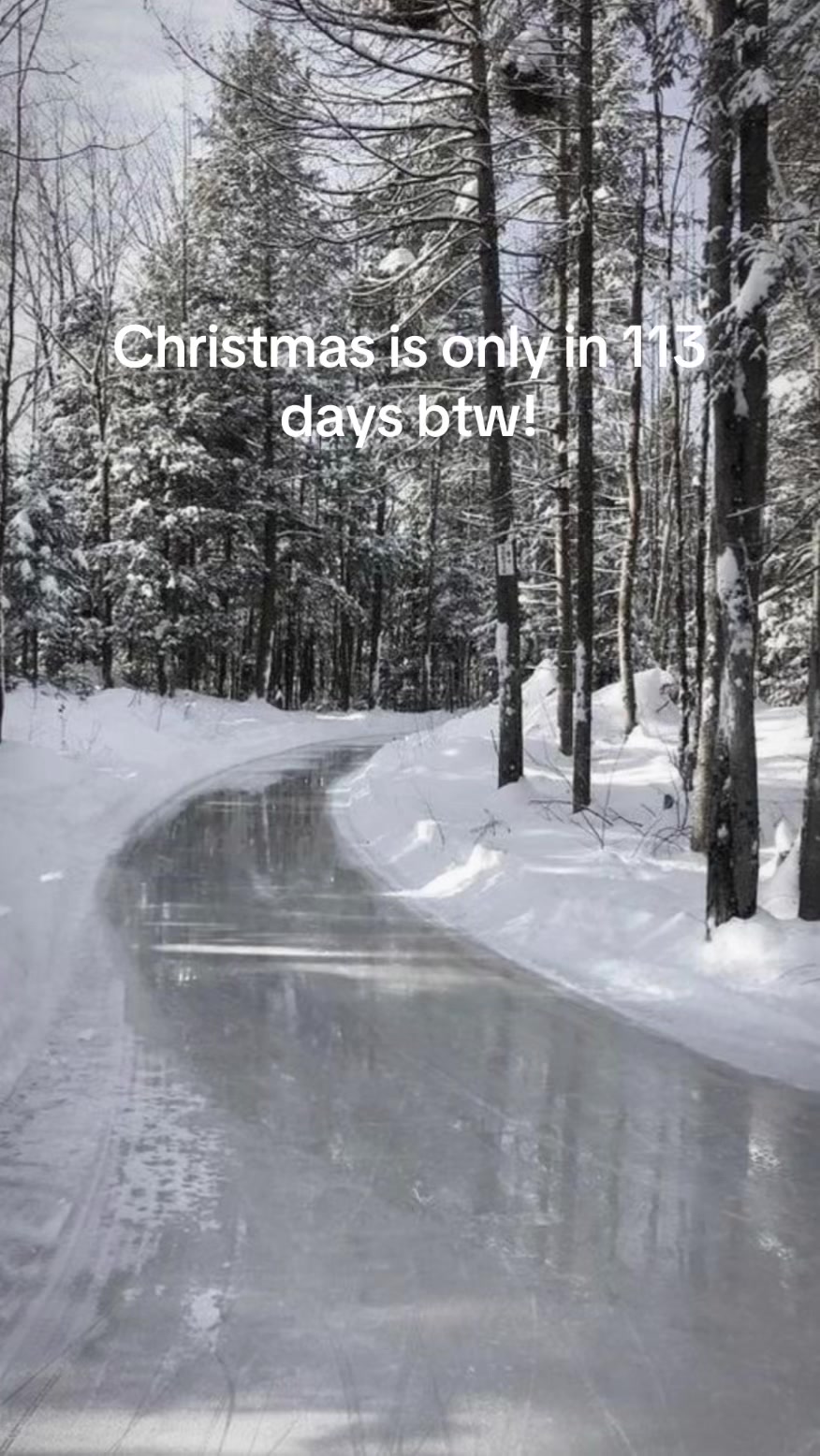 @christmas vibes!