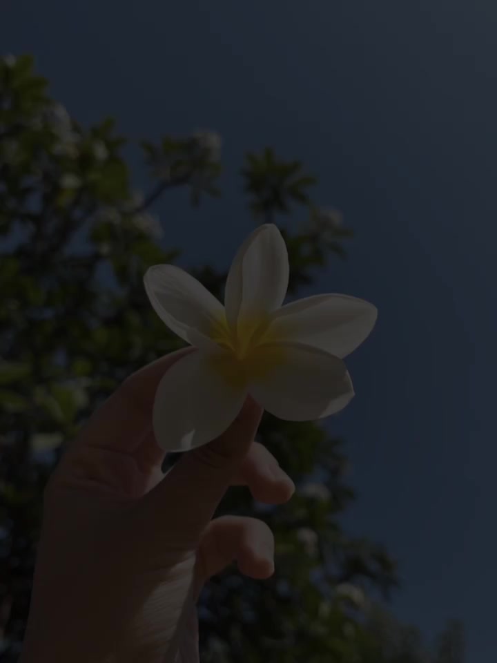 @𝙴𝚛𝚊^᪲᪲᪲🧚♀️