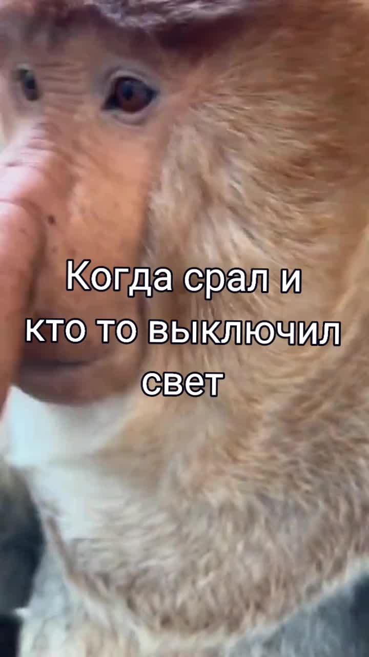 @SerjMatador