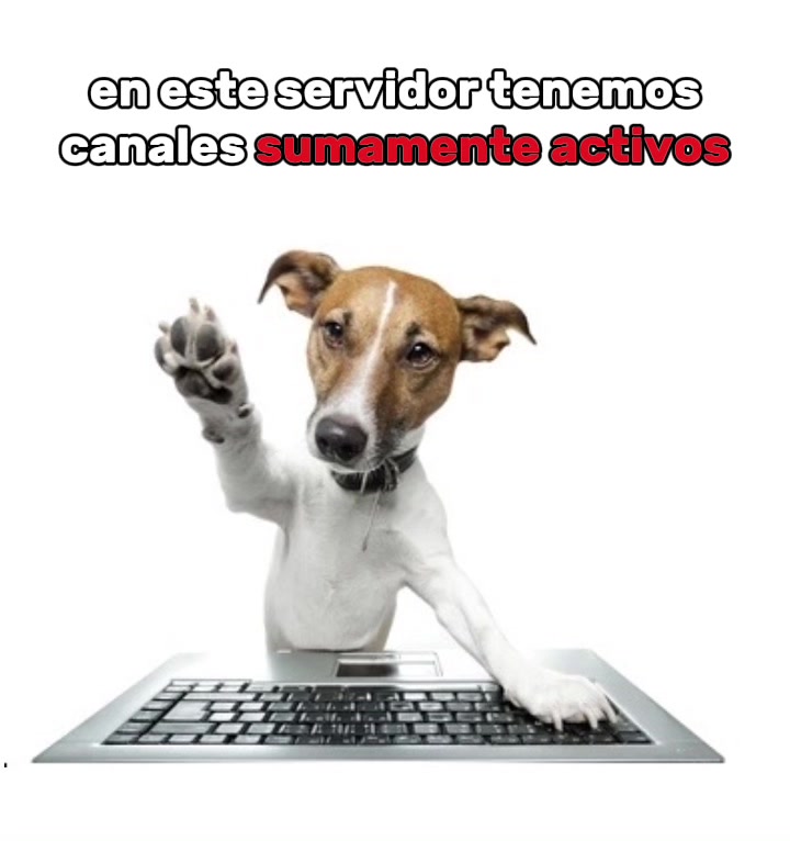 @UNETE A El Oxxo de Discord