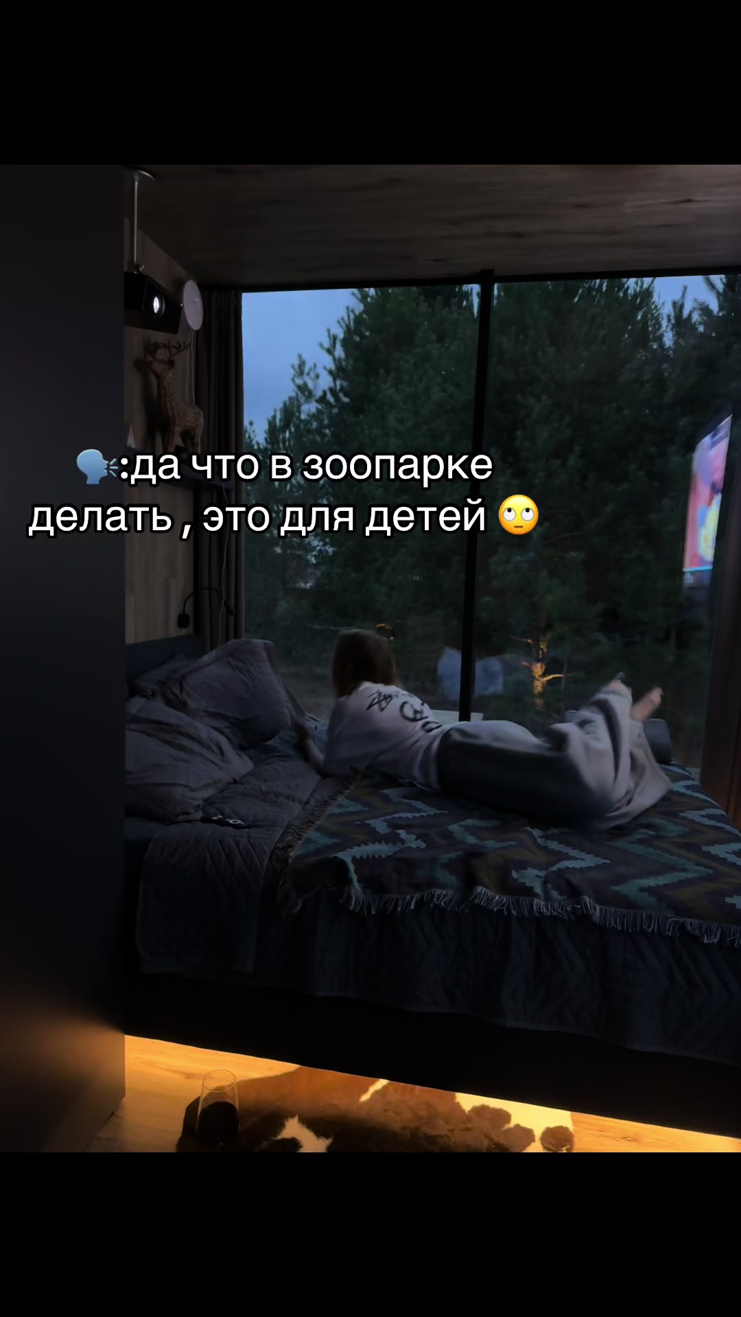 @ariana