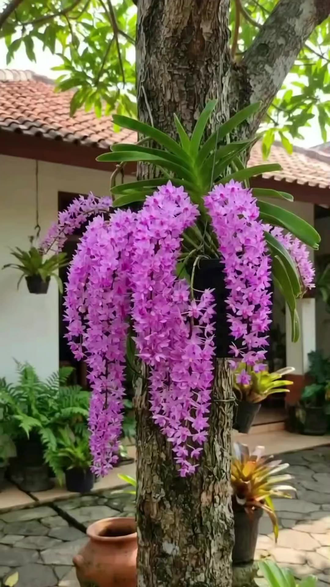 @NUNUNG INSANI